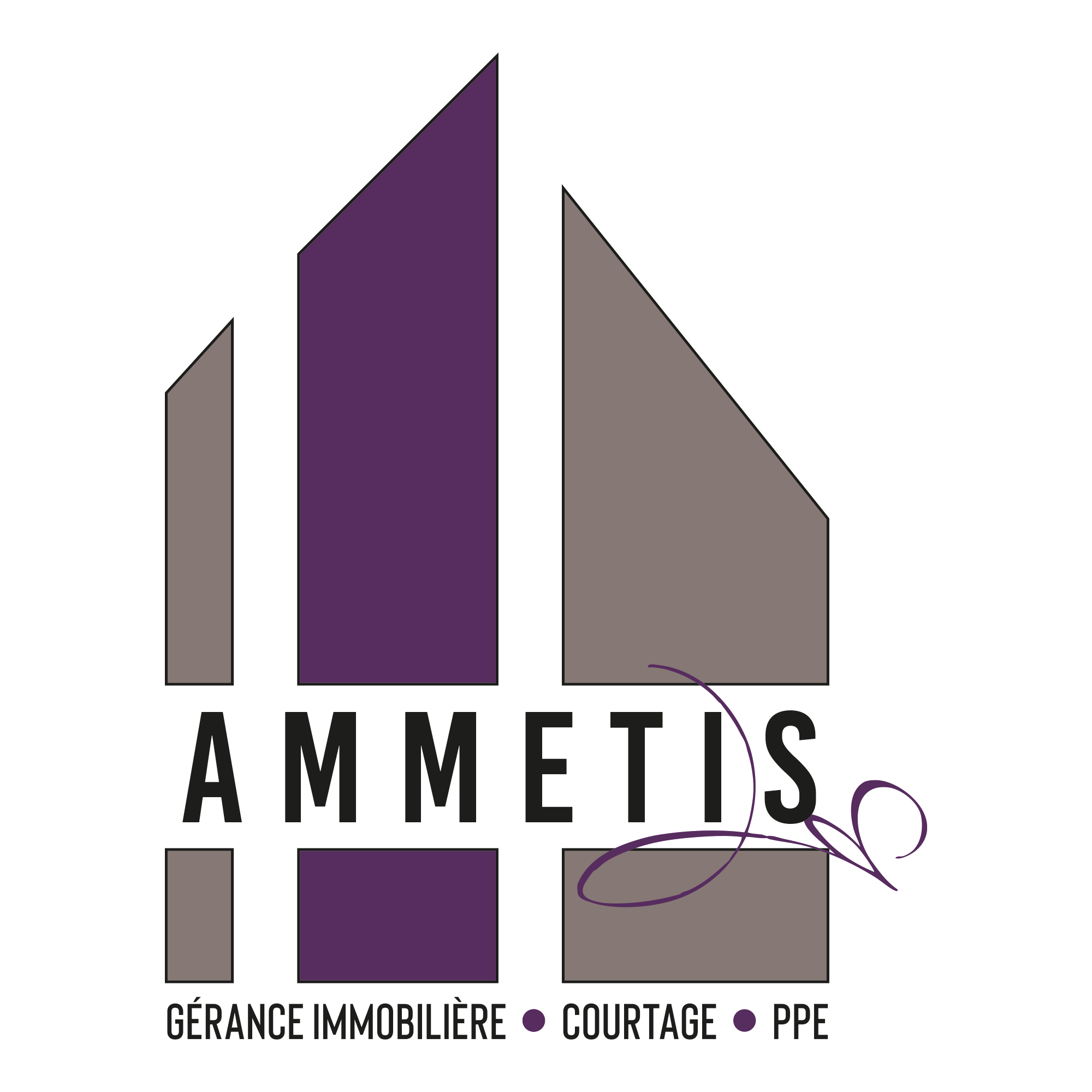 logo ammetis